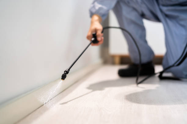 Licensed Fumigation Services service in Brundidge, AL - Nex Pest Control