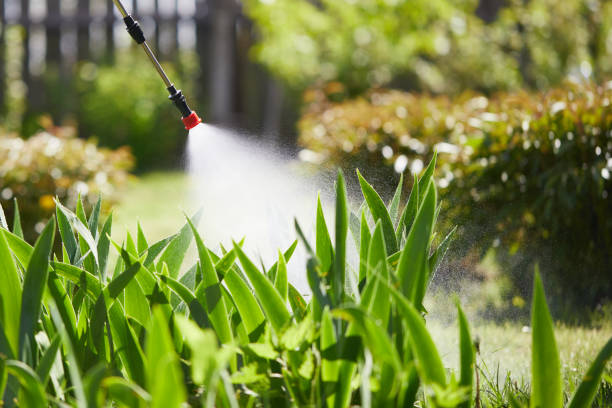 24/7 Emergency Fumigation Services experts in Brundidge, AL