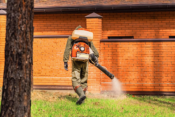 Trusted Mosquito Control service in Brundidge, AL - Nex Pest Control